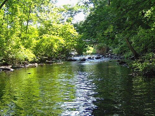 Lawrence Brook